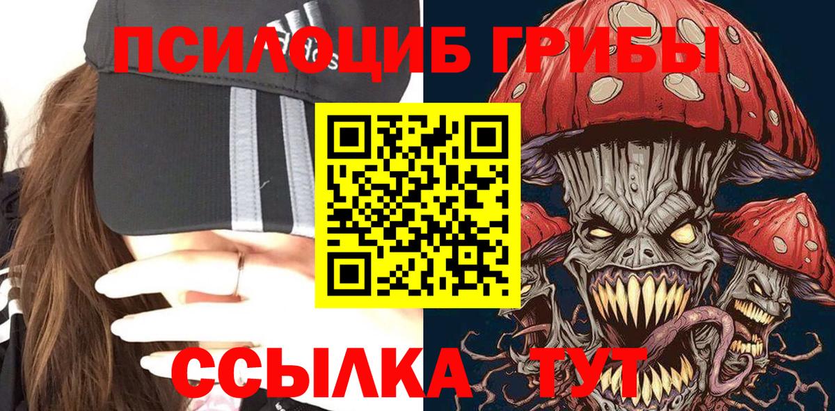Псилоцибиновые грибы Psilocybine cubensis  Вход с VPN  как найти   Камень-на-Оби  Псилоцибиновые грибы Cubensis 